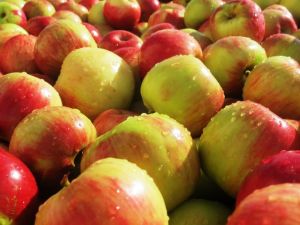 Fresh apples.jpg